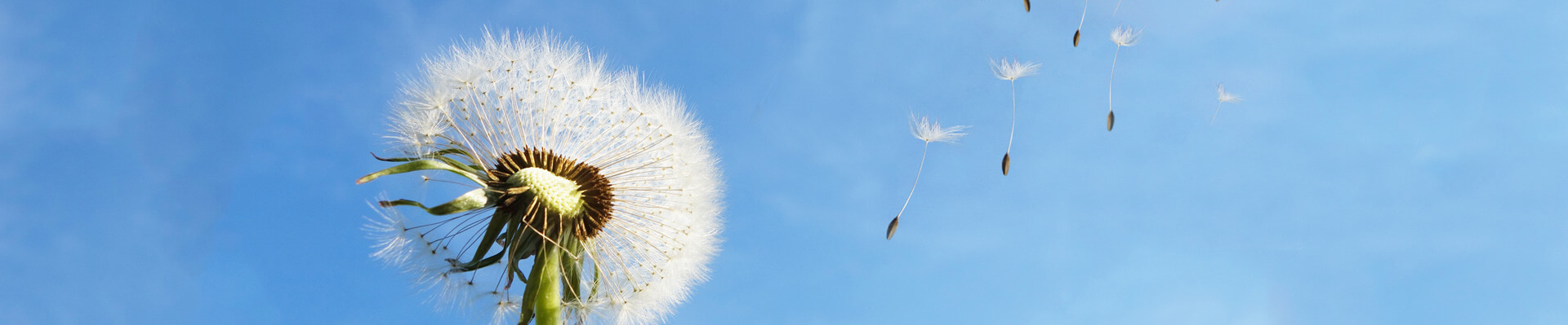 ky开元重机集团股份有限公司